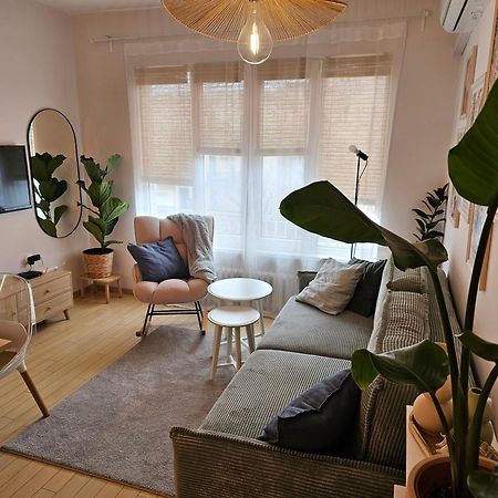 S Irma Apartment - The Soul Of Central 索菲亞 外观 照片